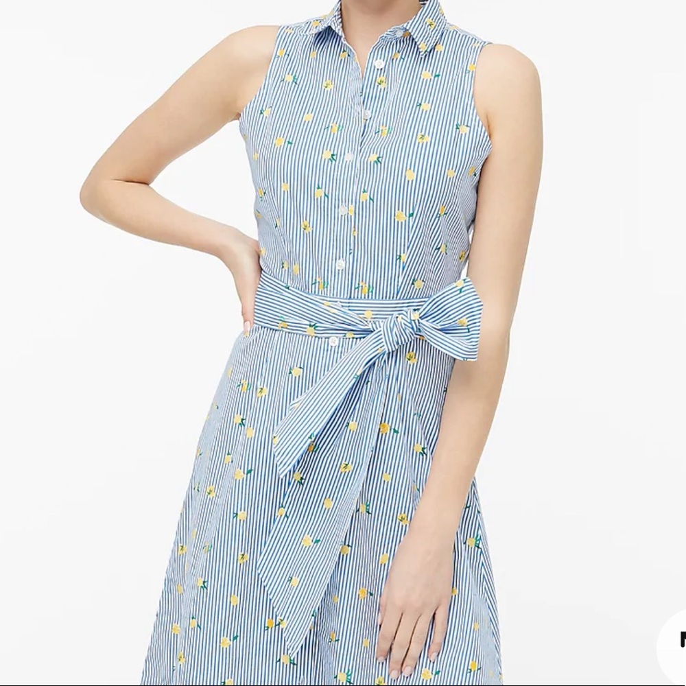 JCrew Lemon Dress
